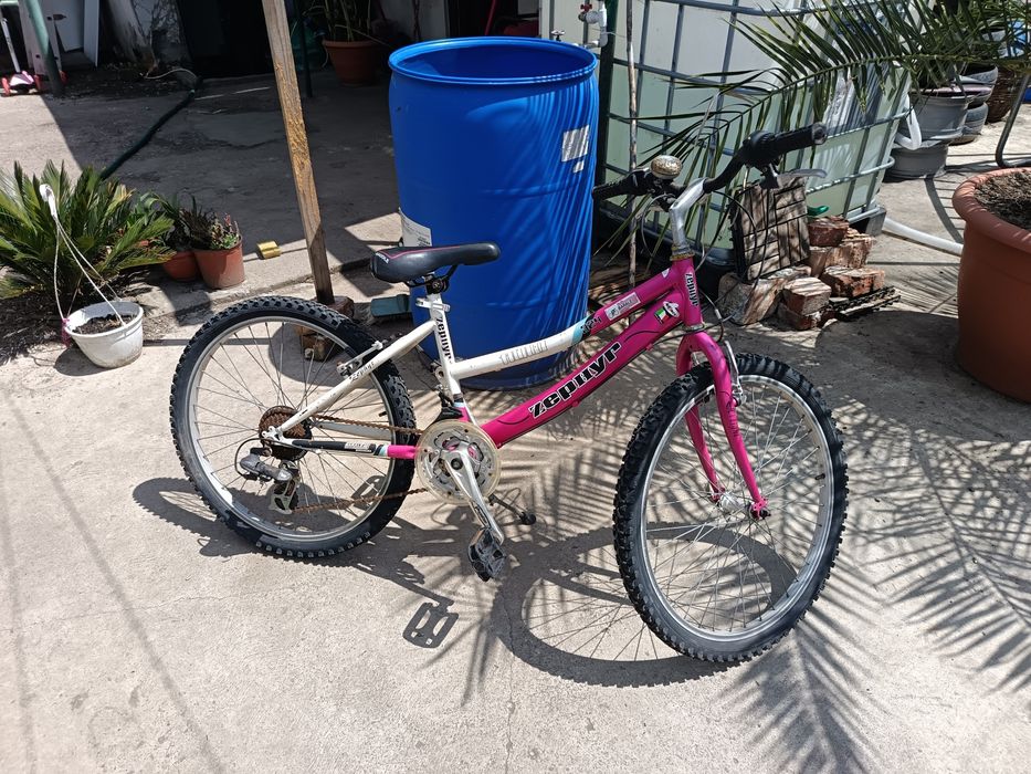 Biciclete mountain bike