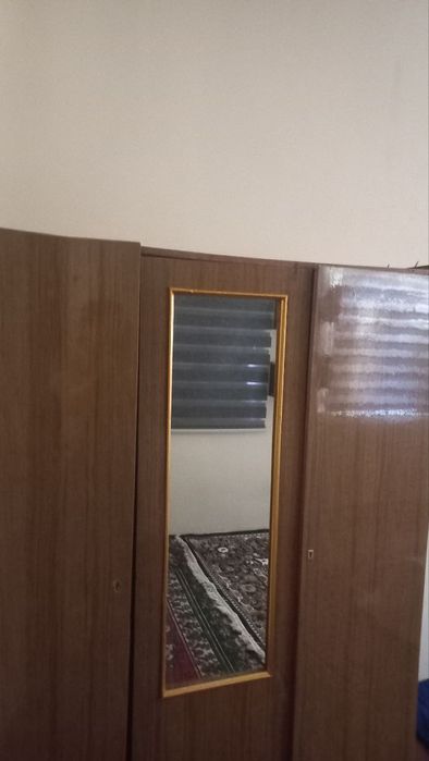 Student abuturent qizlar kvartiraga qoʻyiladi