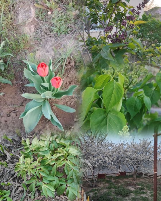 Продам дом в СО Химик,реальному покупателю уступим