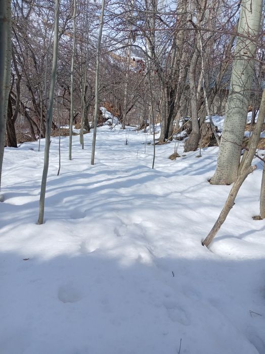 Bustonliq tumani sijjak qishlog'i yer sotiladi