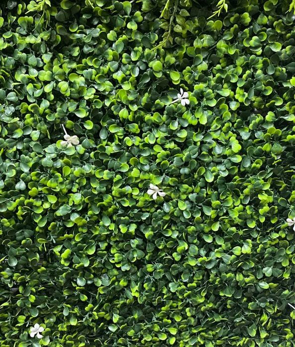 Искусственное вертикальное озеленение. Фитостена