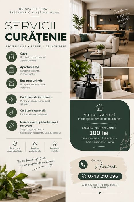 Curatenie la domiciliu