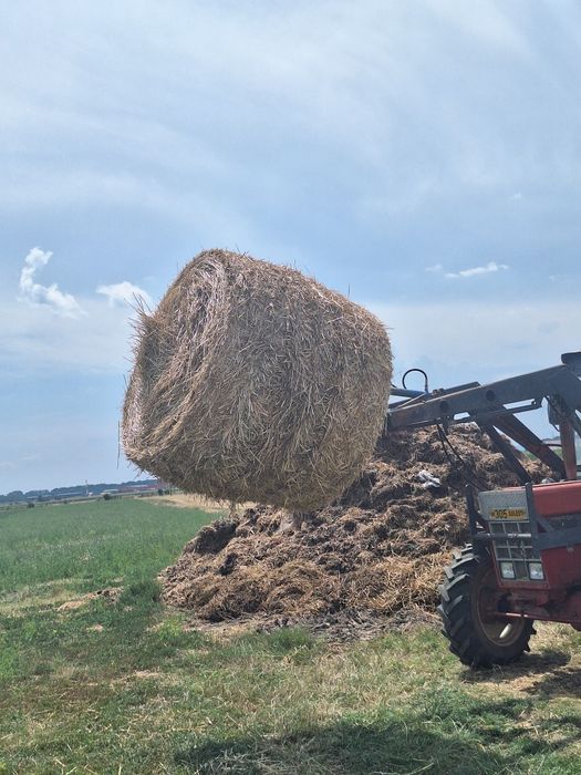 Vând baloți rotunzi de paie