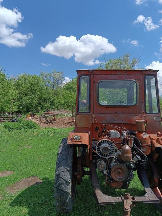 продам трактор Т16