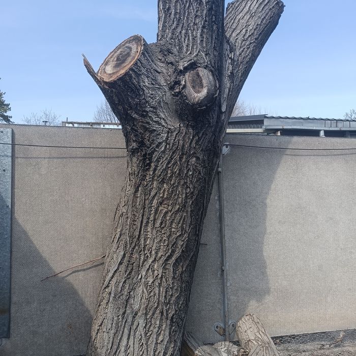 Продам пеньки от ореха.