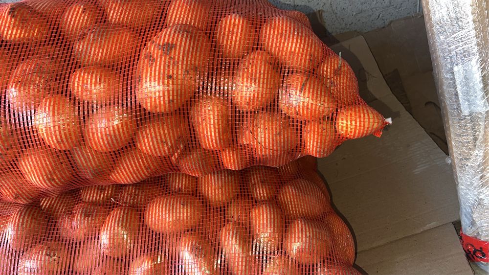 Продам картофель сорт Галла
