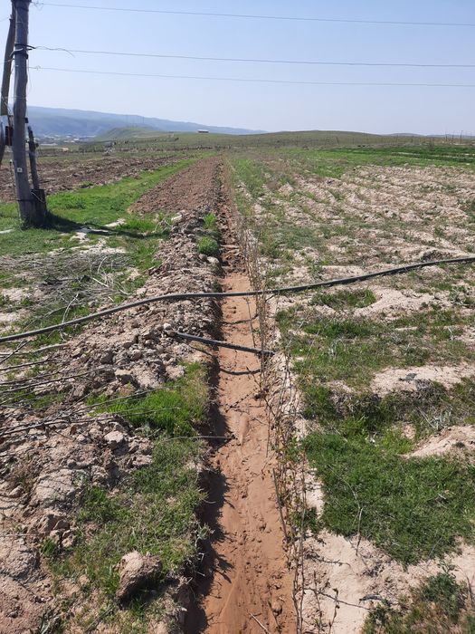 Yaxshi joy uyxam bor 2 xonali daliziblsn