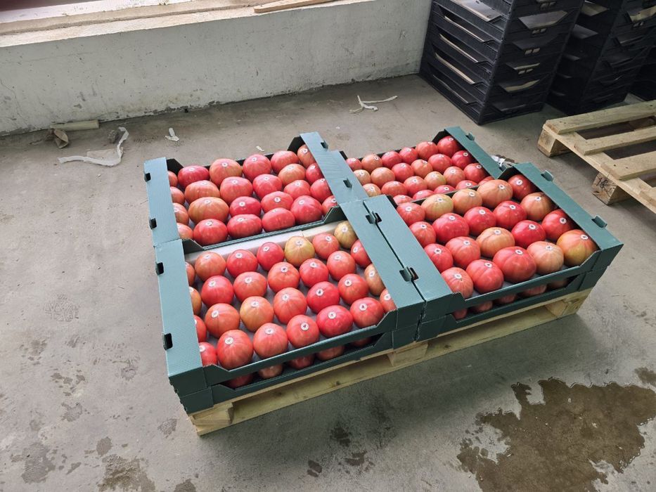 Гофрированная пластиковая коробка для фруктов и овощей, гофрапластик