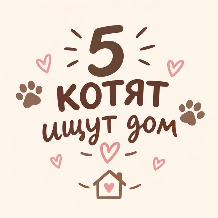 Отдам котят в добрые руки