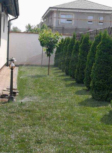 Gazon rulou sisteme de irigatii