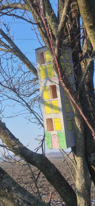 Casute din lemn pentru pasari