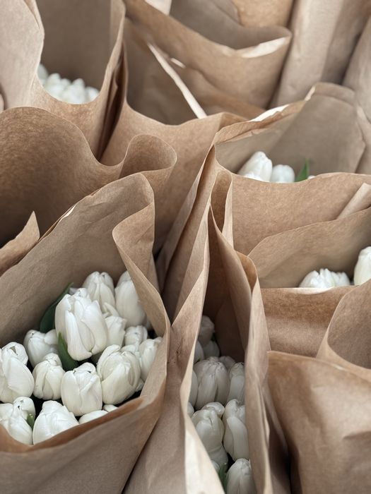 Тюльпан крупный местный