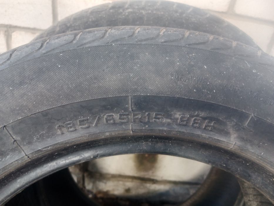 Жазгы догалак сатылыды