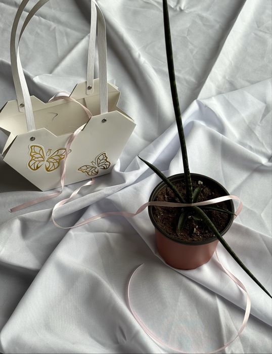 Цветы на 8 марта