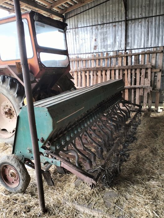 Semanatoare românească sup