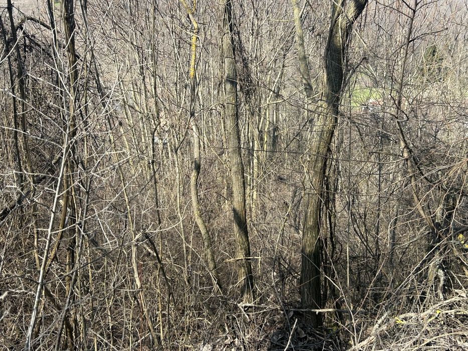 Продава се Парцел в с. Калипетрово, Област Силистра - 4680 кв.м за 1 €/кв.м - Снимка #3