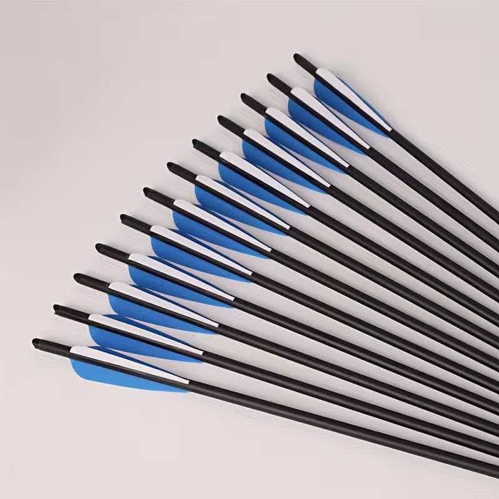 Sageti arbaleta din carbon,de 20 si 22 inch(51 si 56 cm),cu varf