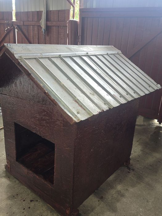 Cusca cățel de culoare vișinie