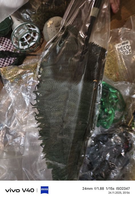 Стабилизированные растения для поделок