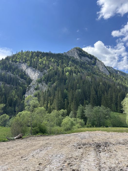 Teren intravilan Trei Fantani