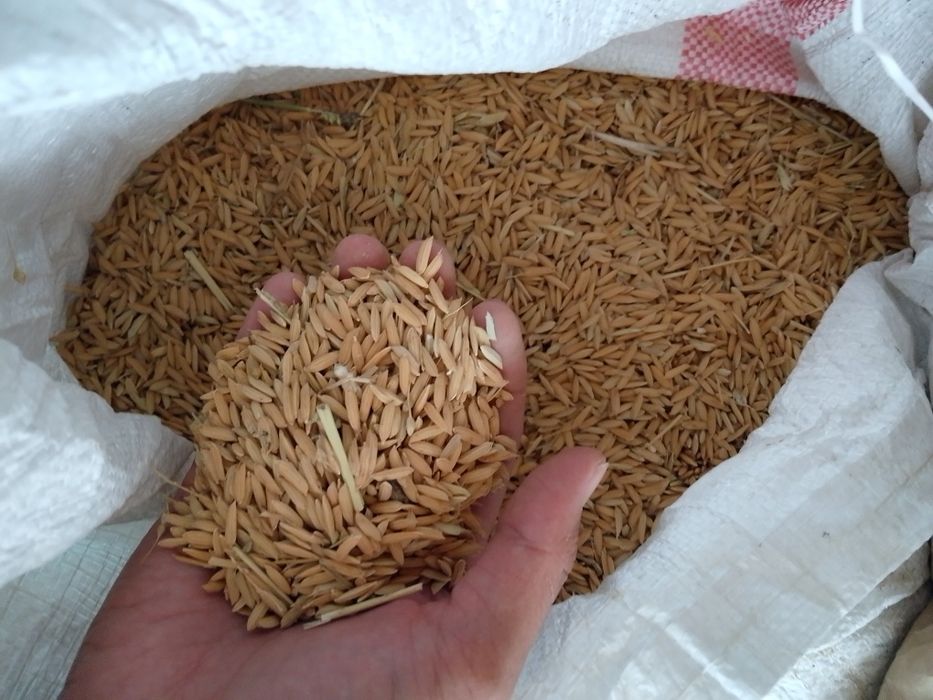 Салы сатылады...