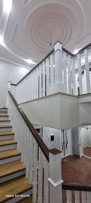 Лесниса zina xarxil turda