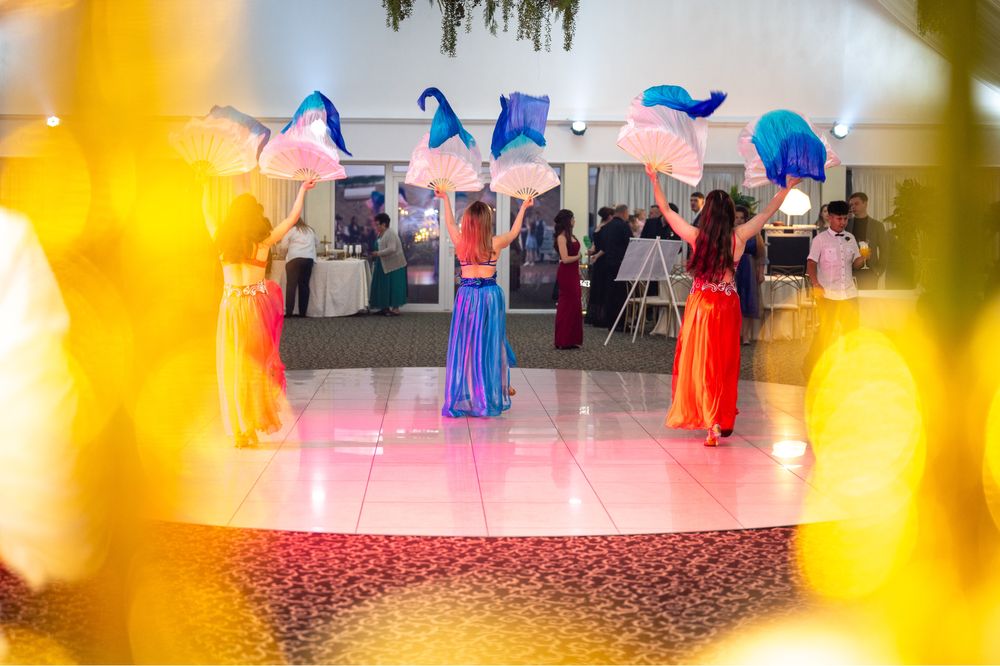 Dansatoare BellyDance