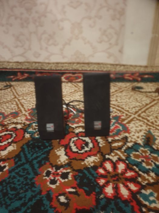 Kampitor kalonkasi sotiladi narxini kelishamiz