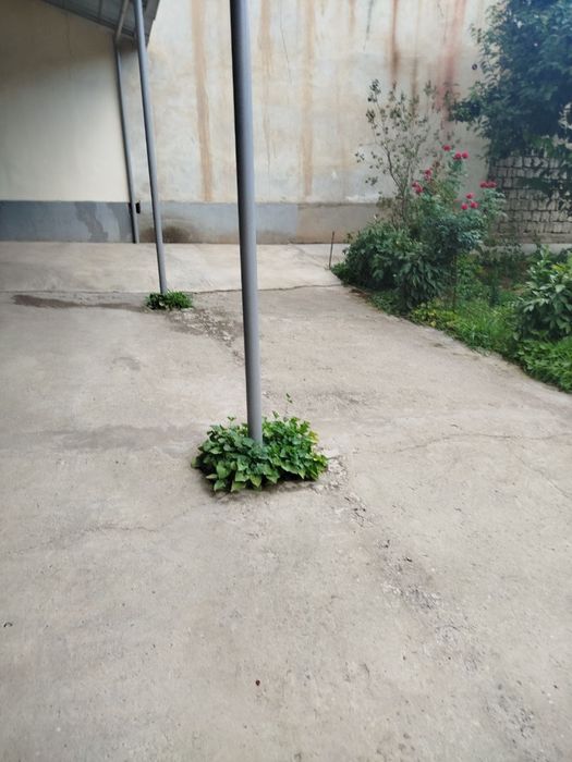 Yer sotiladi 3 sotix