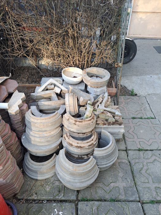 Гул ва декаратив дарахт учун