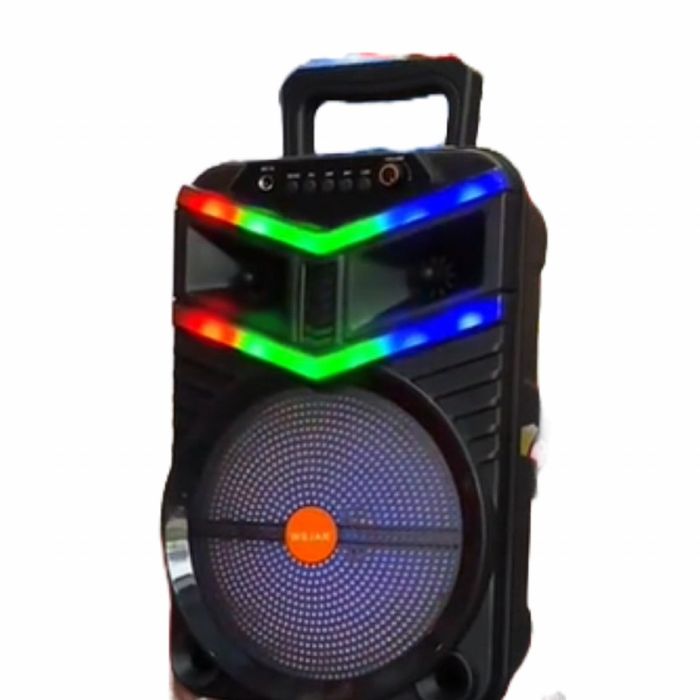 Преносима безжична тонколона с мощен звук и LED ефекти WSJAR E8131W