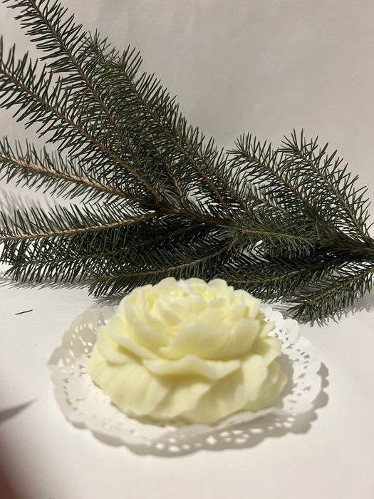 Тойбастар подарки