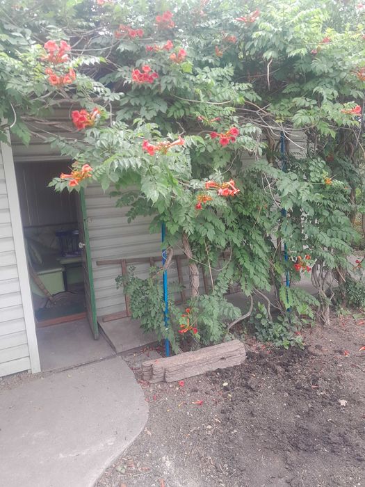 продам дачу 6 км Иссыкской трассы