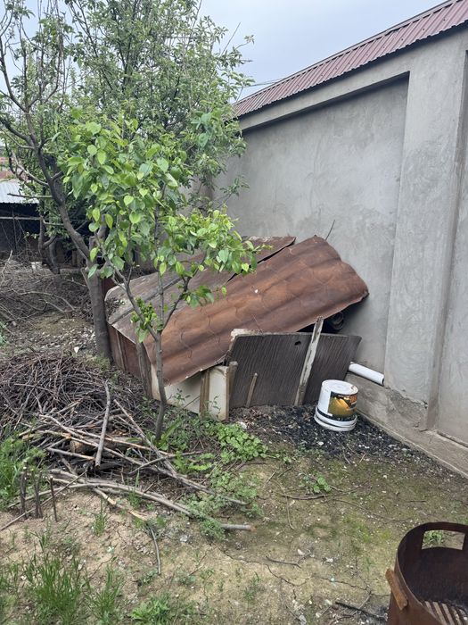 Уголь и дрова отдам бесплатно