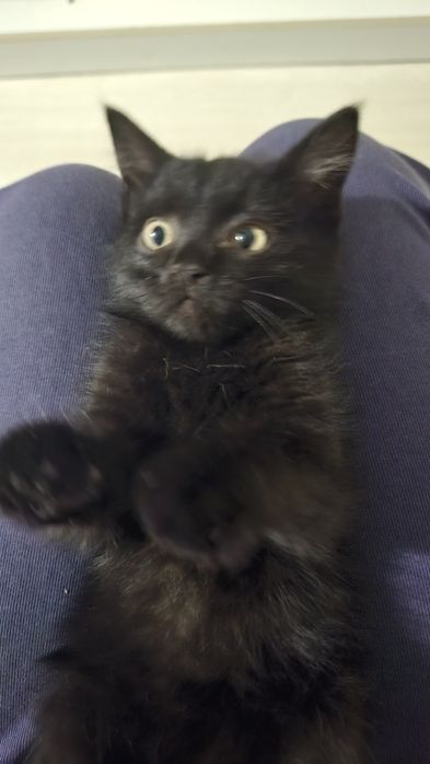 Отдадим мальчика в добрые руки