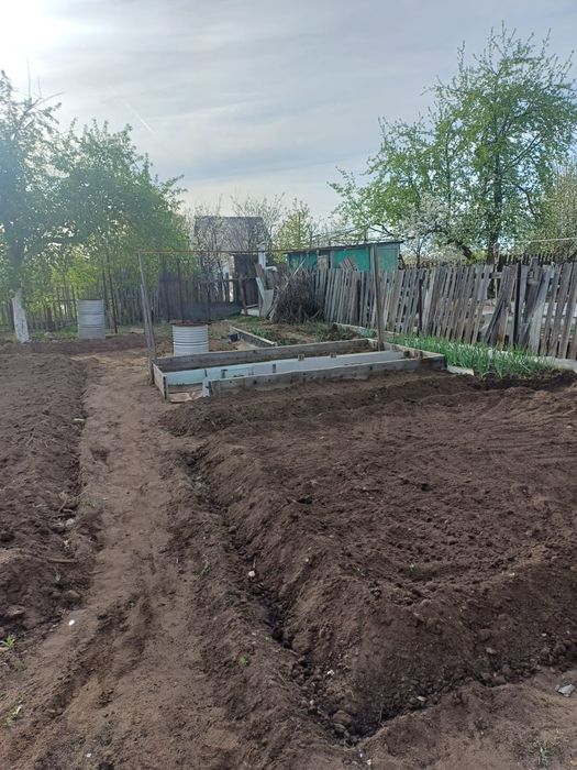 Продам дачу общество ромашка в (Сортировка)