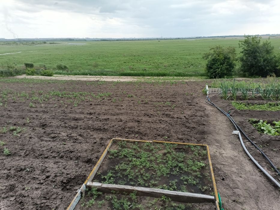 Продам дом в селе