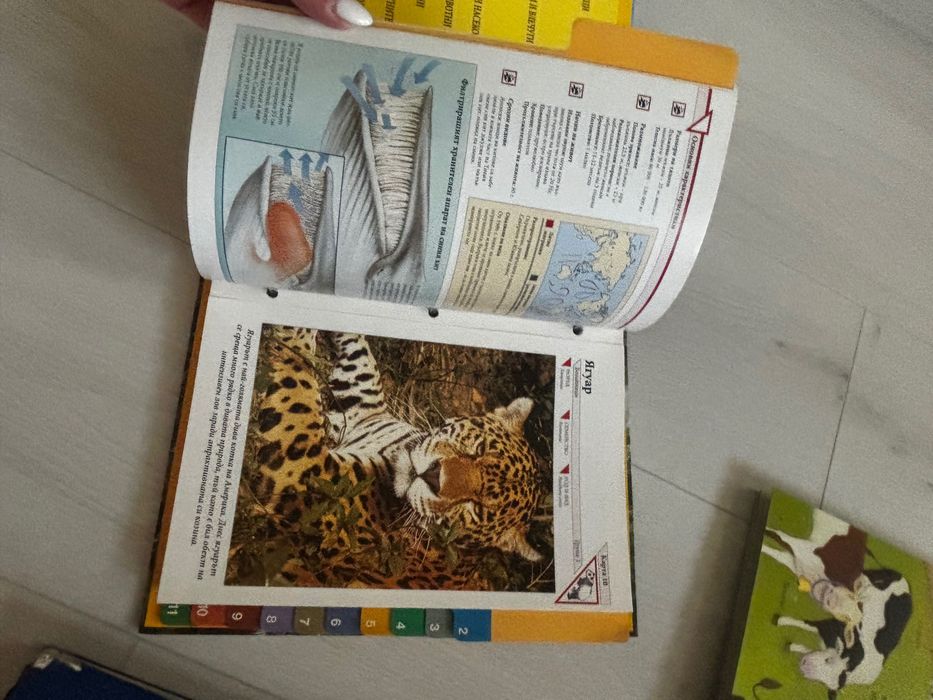 Различни енциклопедии