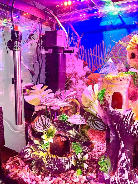 Продается Аквариум