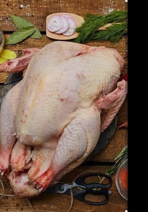 Мясо домашней индейки