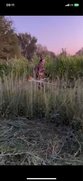 Покос травы спил деревьев