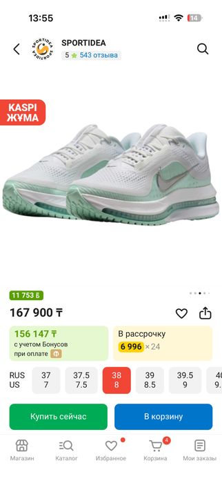 Nike Pegasus Premium