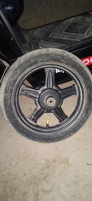 Суктердың жағдай жақсы