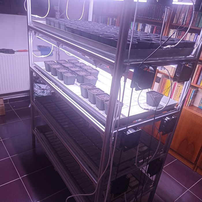 Sistem hidroponic/ferma hidroponica/plantație microplante