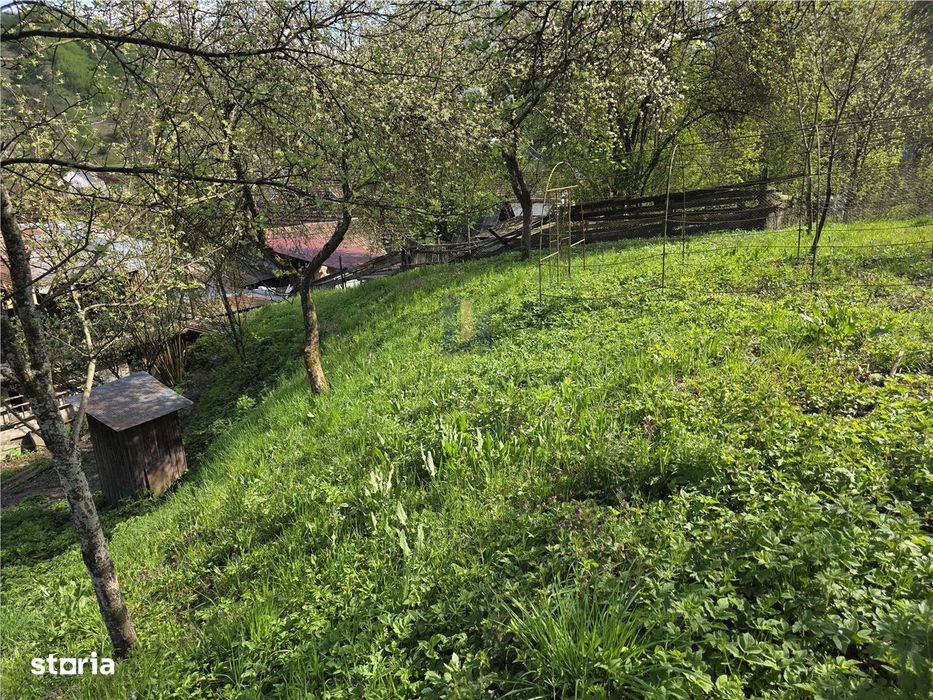Casa cu teren generos in zona turistica Nadrag Timis