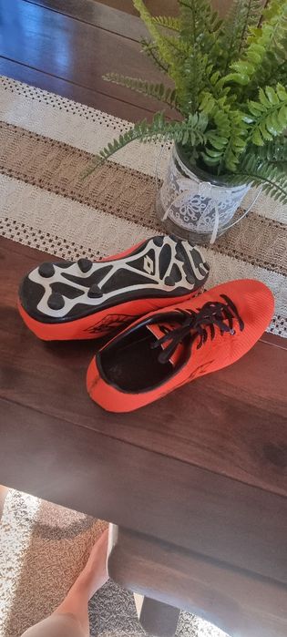 Оригинални бутонки Lotto