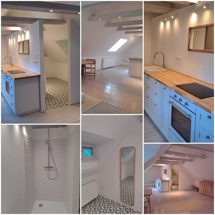 Amenajari interioare zugravit/gletuire/reparati geamuri usi /garduri