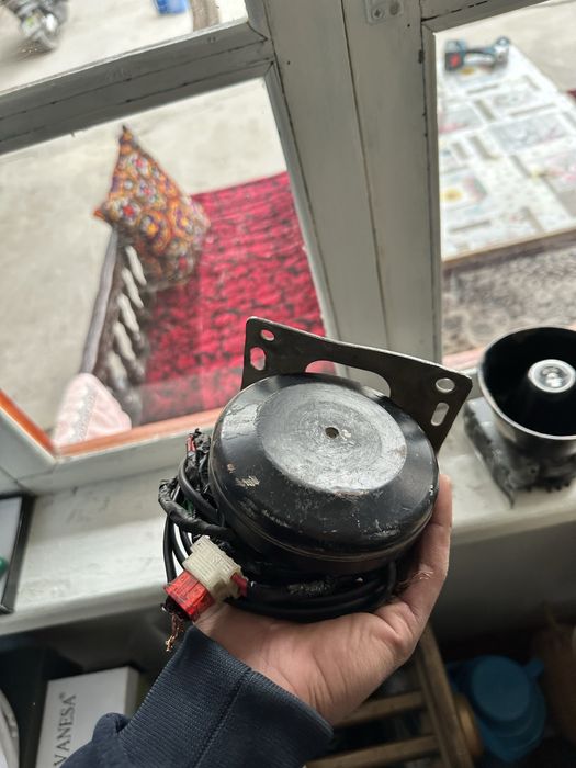 USA orginal qora karne