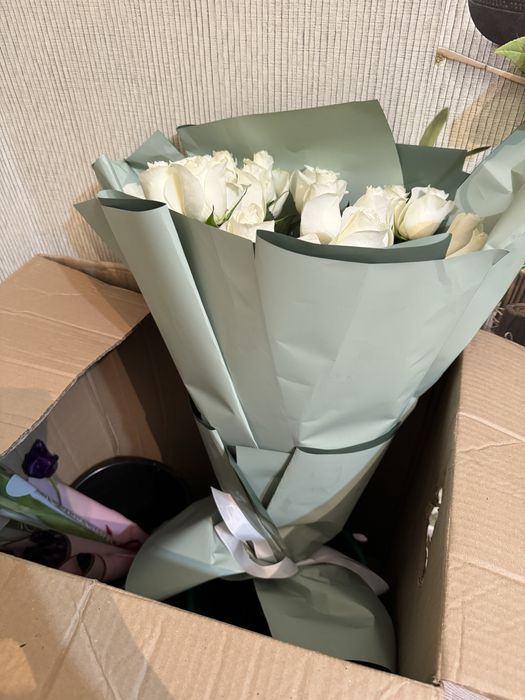 Метровые розы свежие