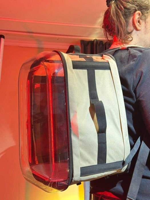 Большая переноска для кота